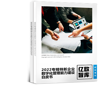 2022专精特新企业数字化管理能力建设白皮书