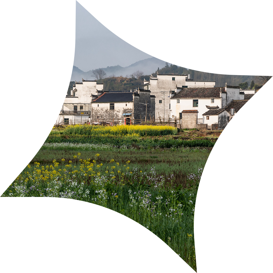 江西省地质建设投资集团有限公司