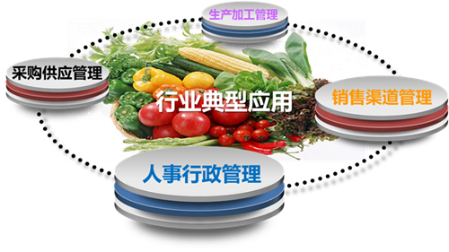 OA解决方案